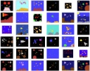 Python Sea and Space Images